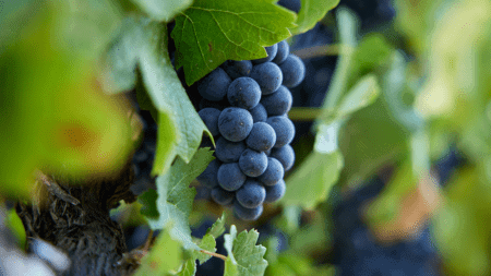 Baker Ranch Baker Ranch