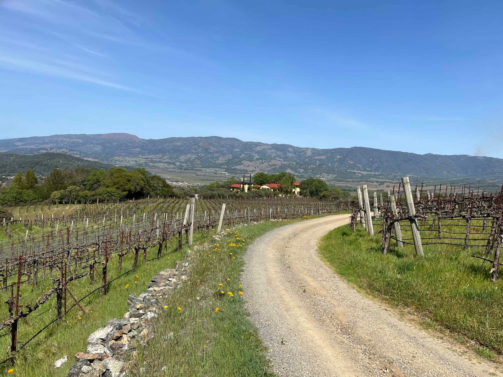 The road to Alta Rosa