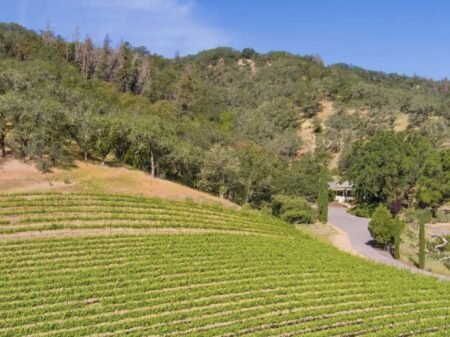 Epperson Family Vineyard Epperson Family Vineyard