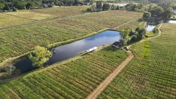 Barra Family Vineyards LLC Barra Family Vineyards LLC